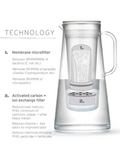 Load image into Gallery viewer, LifeStraw - Home 7-Cup, BPA-Free Plastic Filter Pitcher (color: seafoam)
